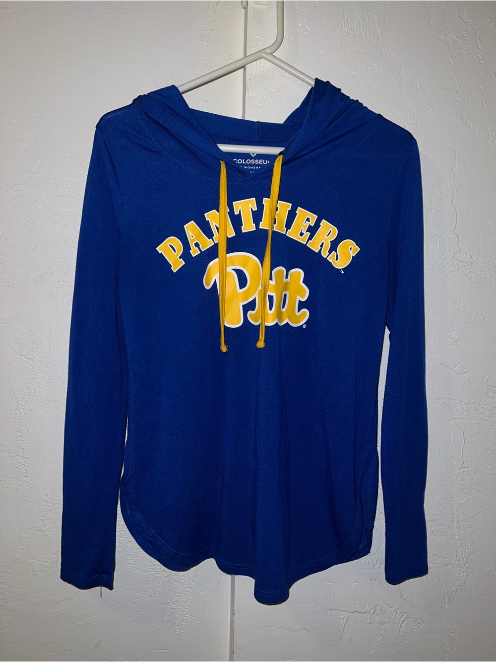 Pitt Panthers Colosseum Graphic Hooded Sweatshirt